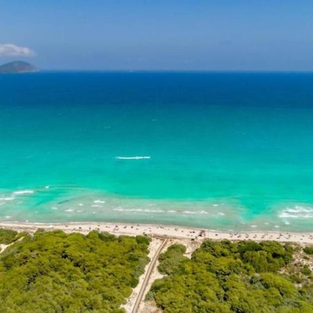 Beach House Alcudia المظهر الخارجي الصورة